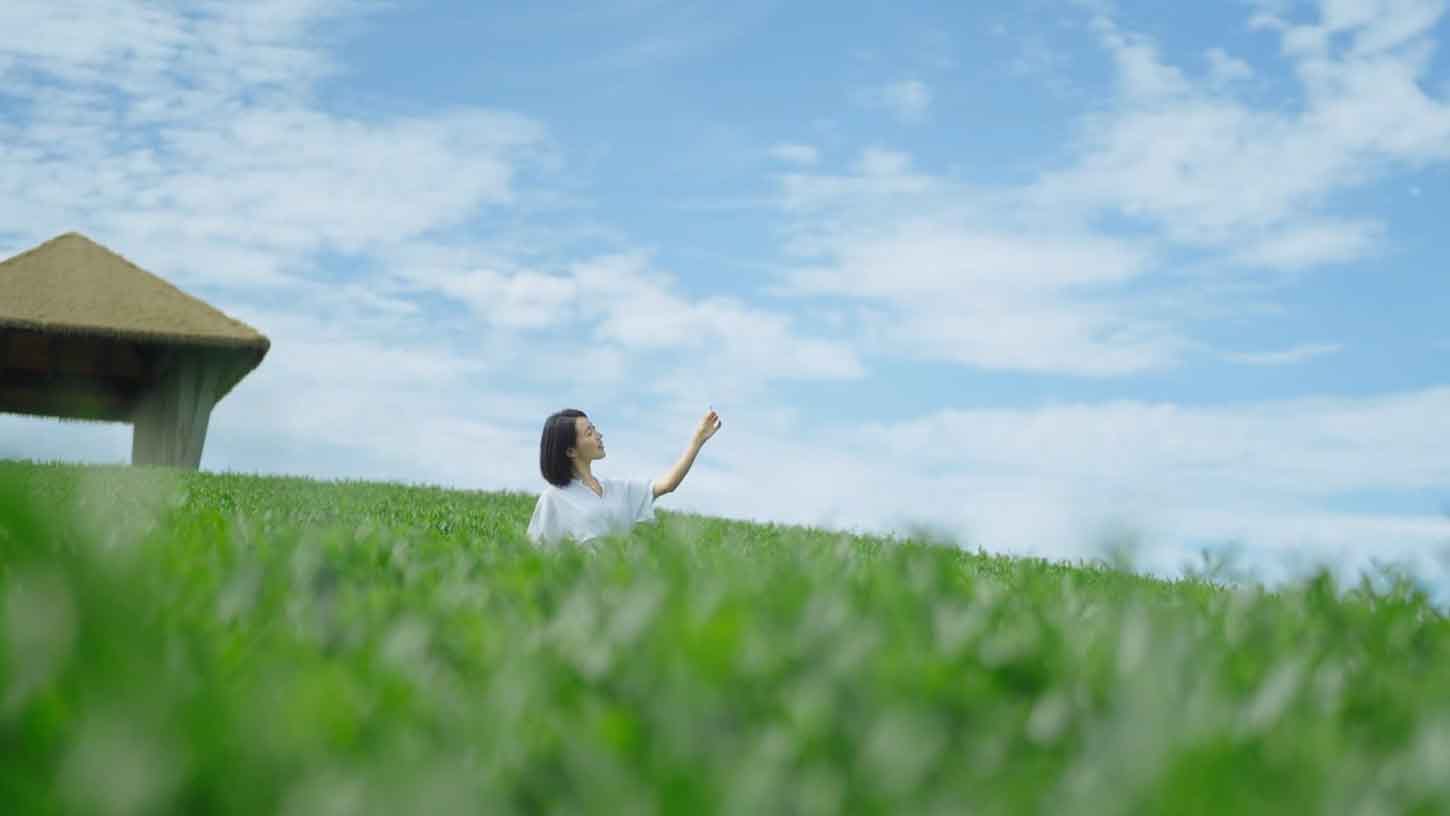 茶品牌形象宣傳片